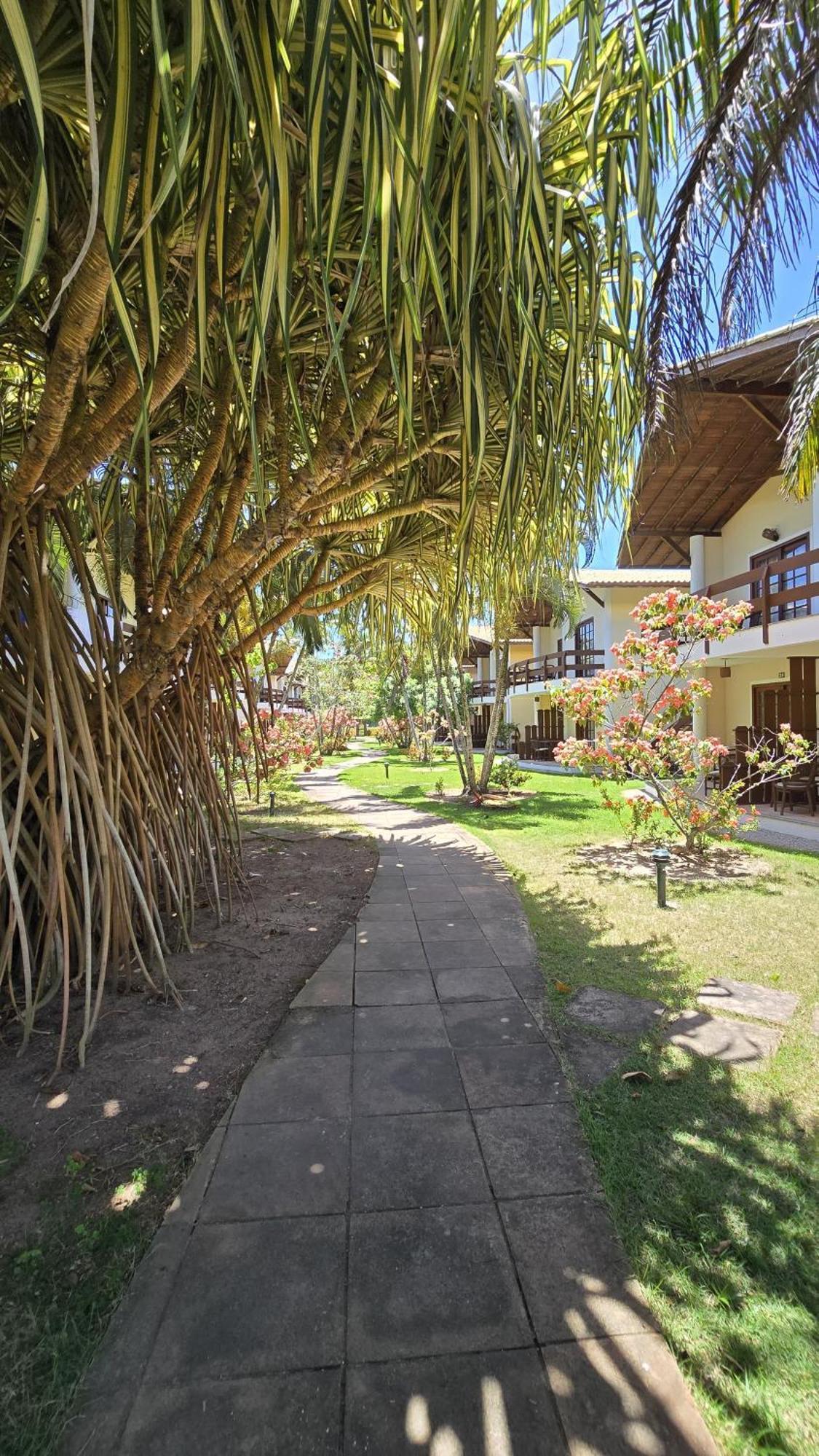 Casa Lirio - Beira Da * Porto Seguro